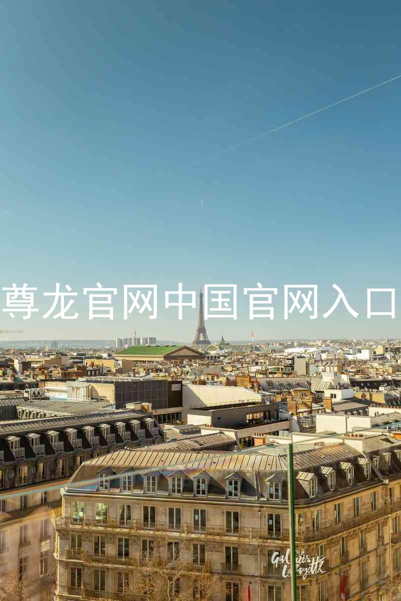 尊龙官网中国官网入口