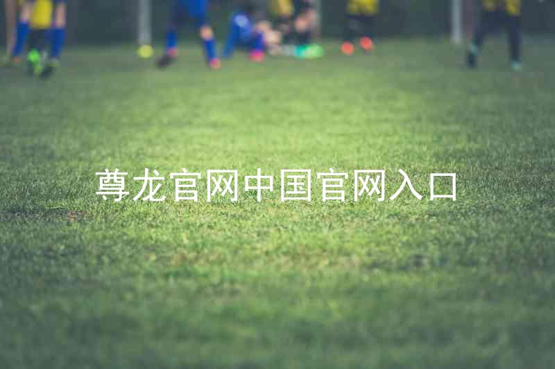 尊龙官网中国官网入口