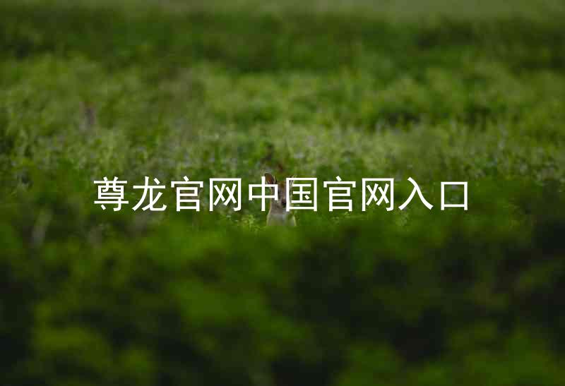 尊龙官网中国官网入口